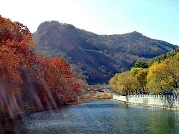 澳门二四六天天彩图库，洪荒大道